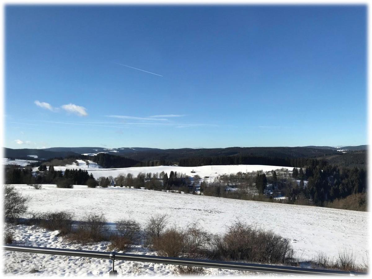 Ferienwohnung Fuchsbau Im Eg Des Ferienhauses Falkenhoehe Oberweißbach المظهر الخارجي الصورة